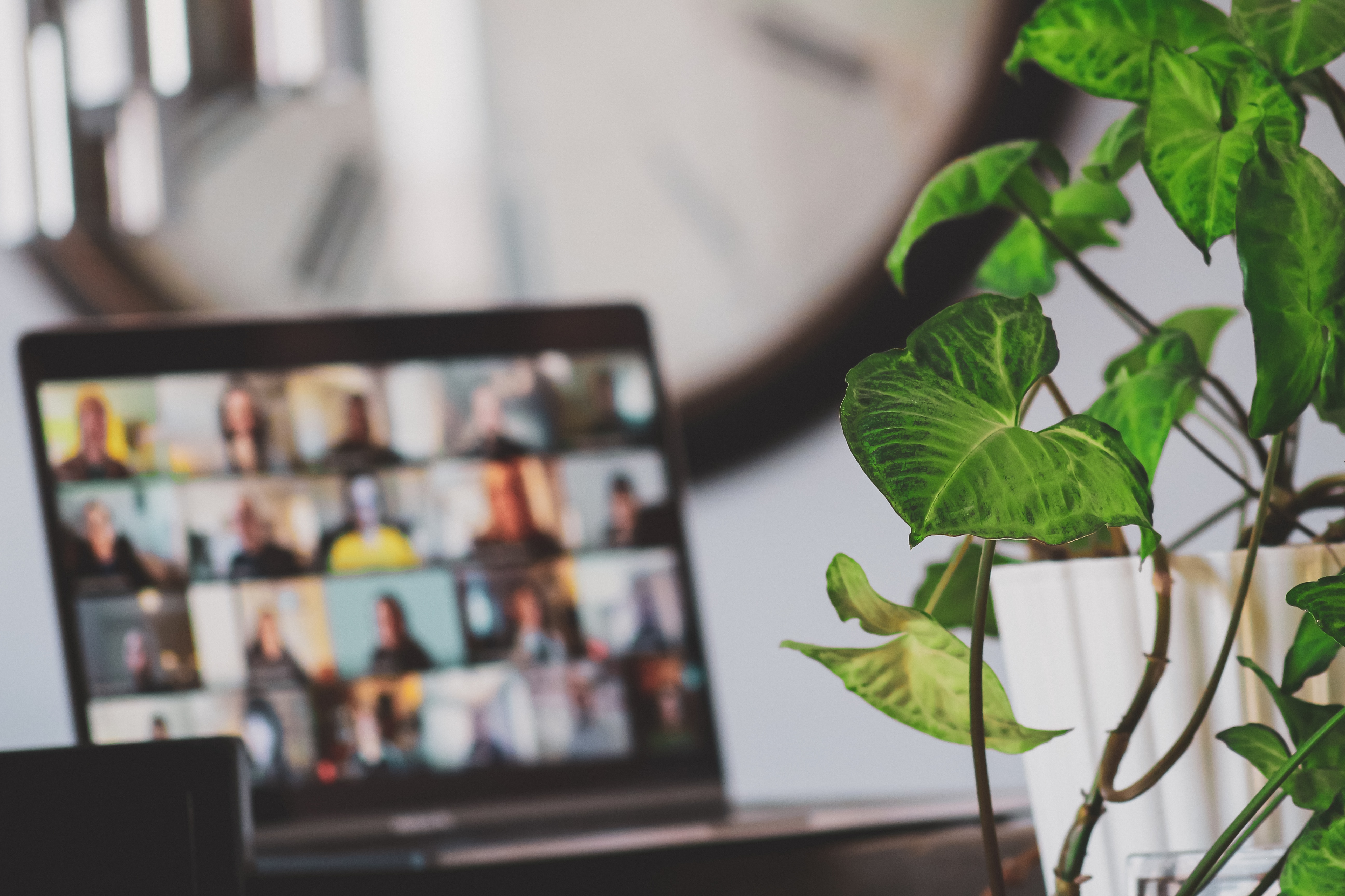 Utilise video conference tools to keep in touch with your team when working remotely